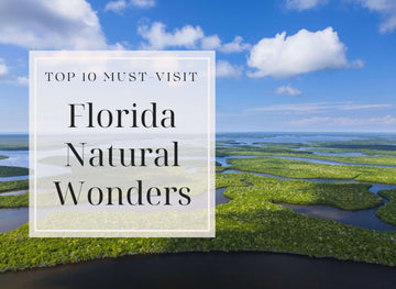 "Top 10 Must-Visit Florida Natural Wonders - Aerial View of Scenic Florida Wetlands"