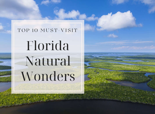 "Top 10 Must-Visit Florida Natural Wonders - Aerial View of Scenic Florida Wetlands"