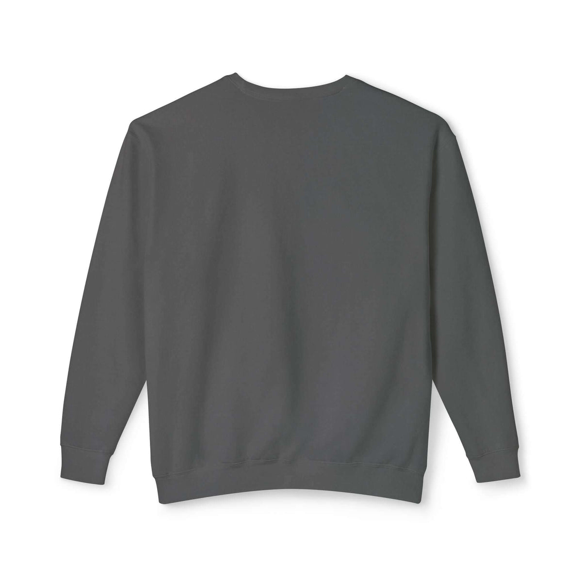 Gray sweatshirt back view showcasing relaxed fit and lightweight fabric.